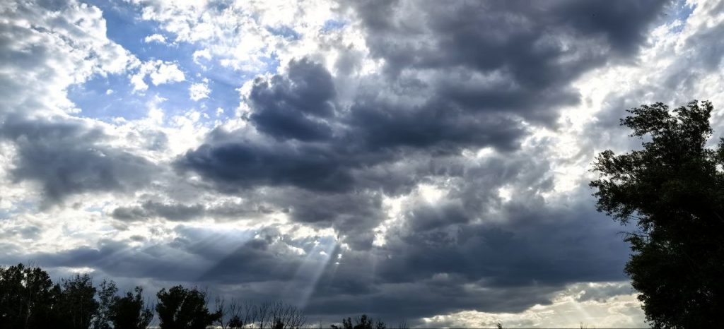 первые снегопады Оренбург