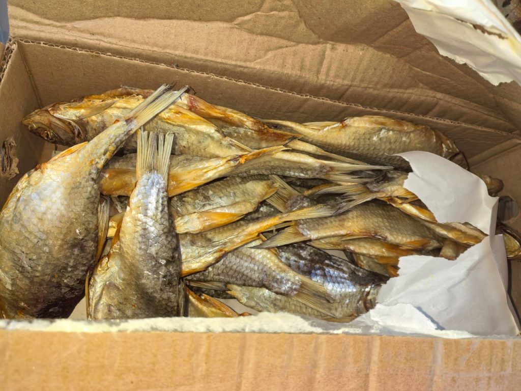 граница Оренбуржья казахстана