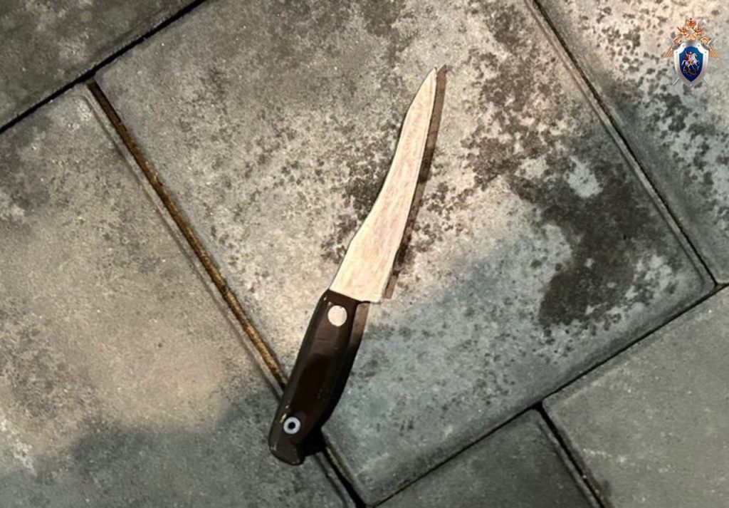 угрожал полицейскому ножом