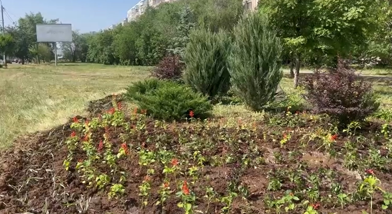 четвертый округ