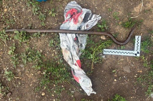 убийство матери гвоздодером