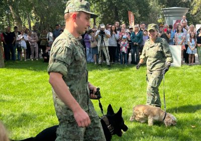 Оренбург Медиа — новости Оренбурга и области