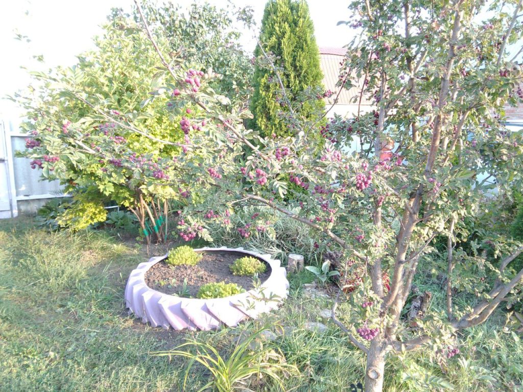 как подготовить дачу к зиме