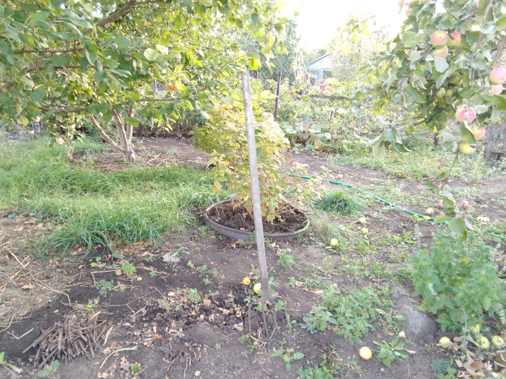 как подготовить дачу к зиме