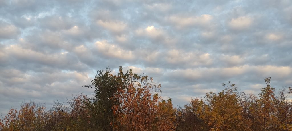 погода в Оренбурге 26 октября