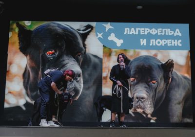 Оренбург Медиа — новости Оренбурга и области