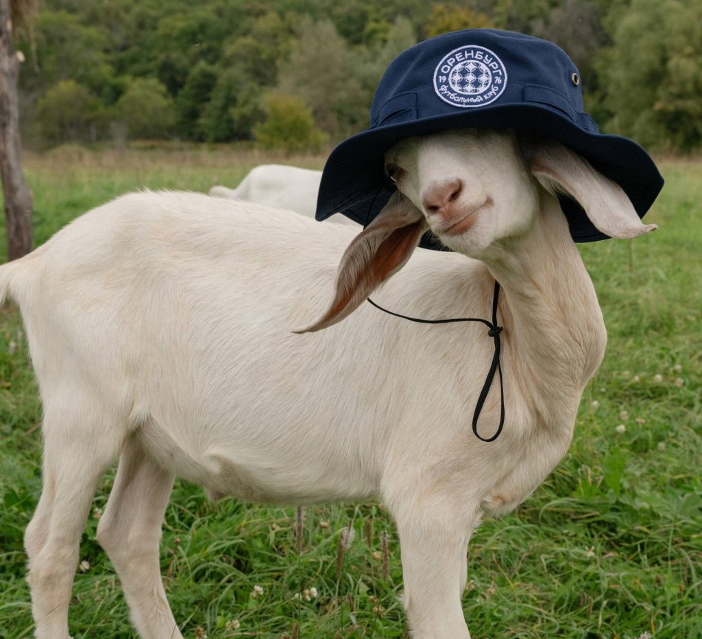 мерч фк оренбург