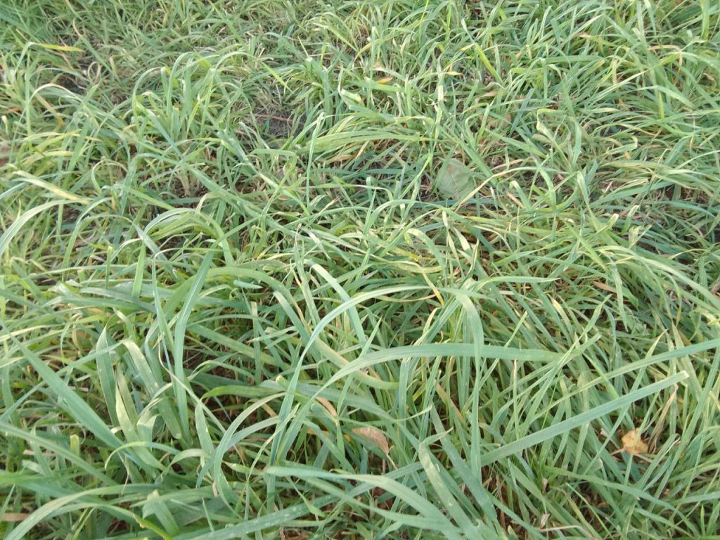 как подготовить дачу к зиме