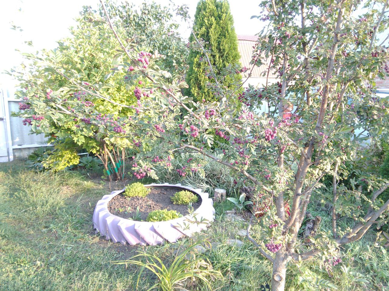 как подготовить дачу к зиме