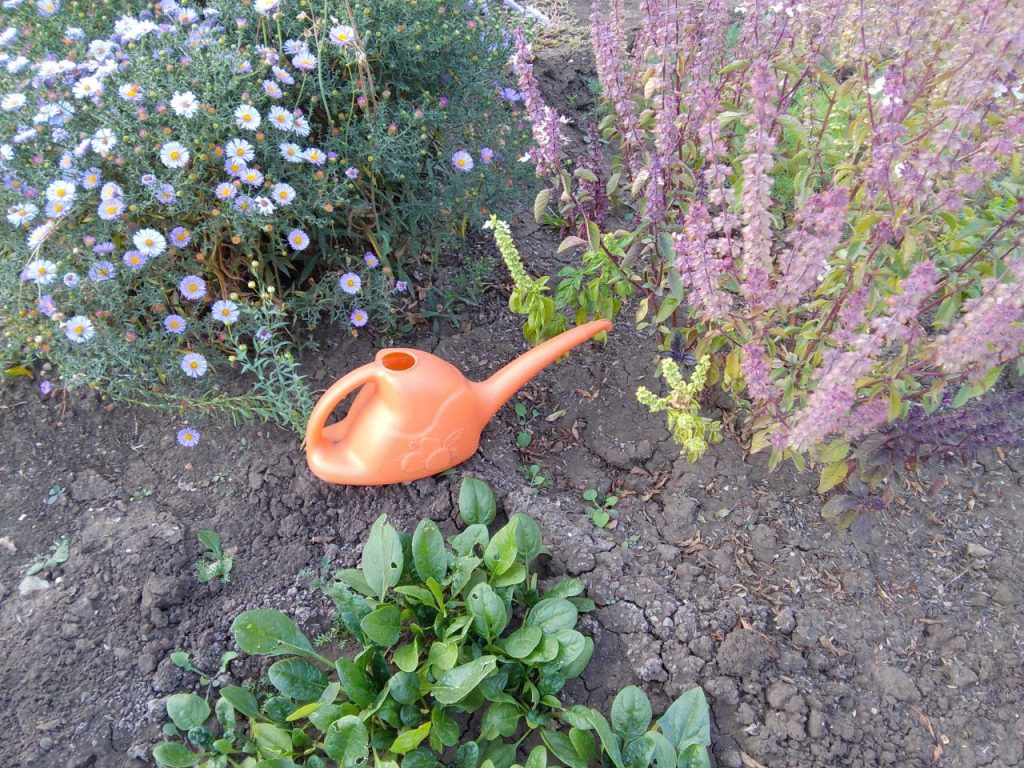 как подготовить дачу к зиме