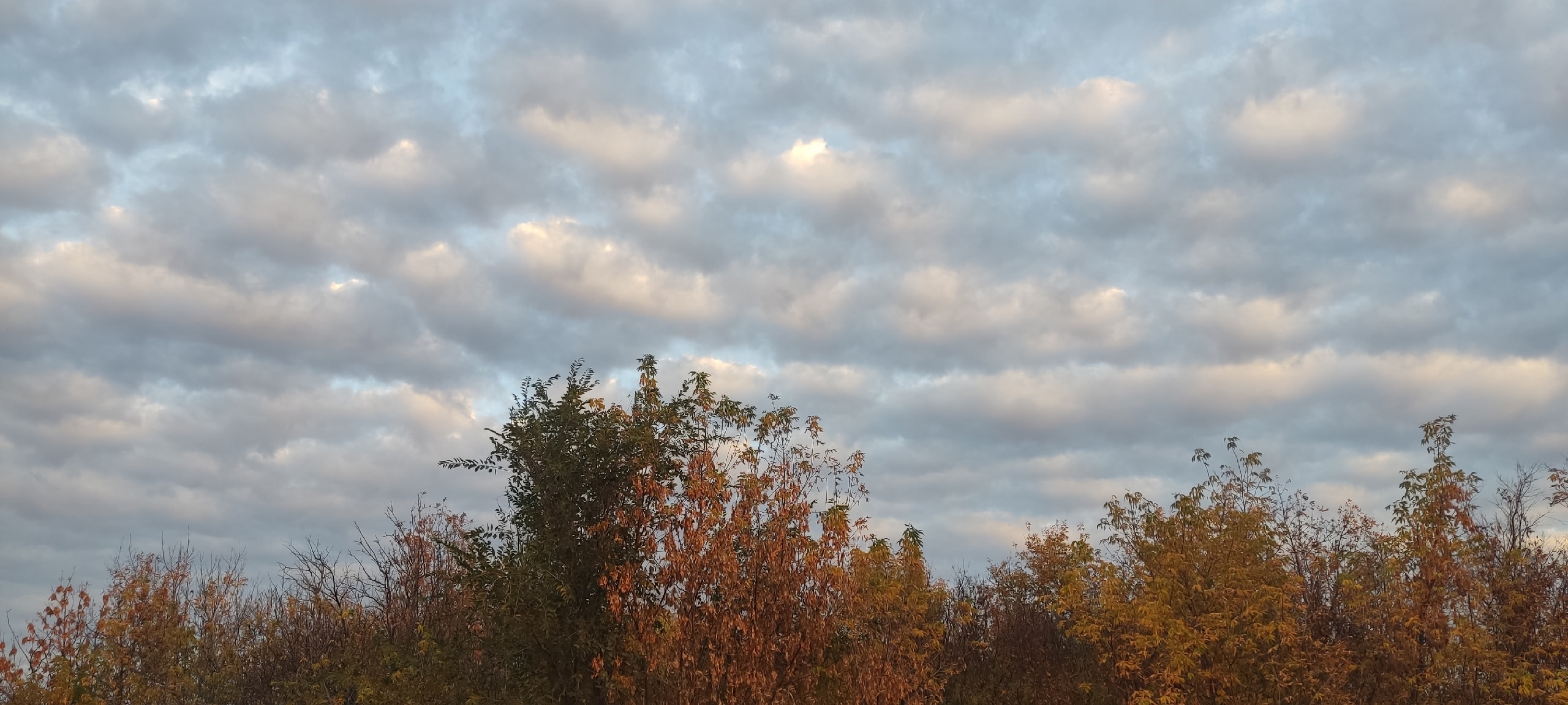 погода в Оренбурге 26 октября