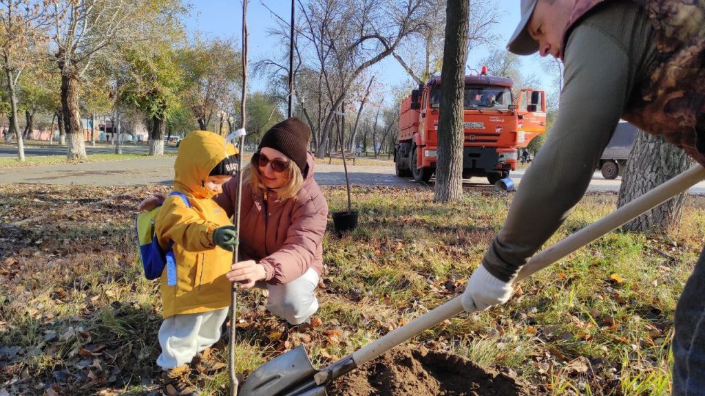 деревья в Оренбурге 2