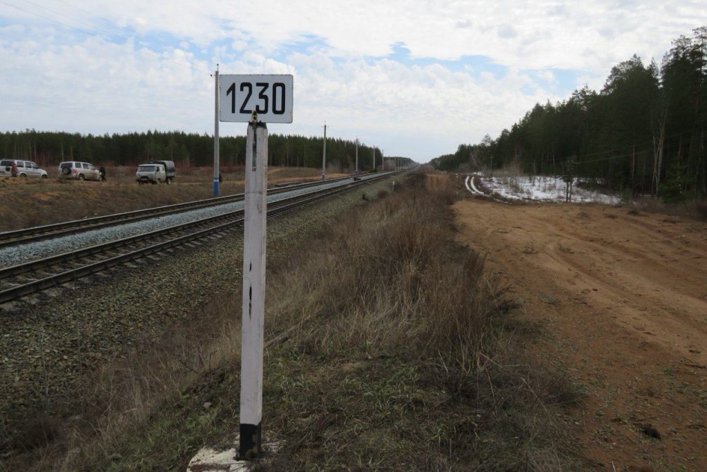 Бузулукский бор