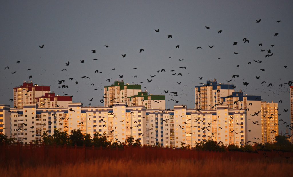 Погода в Оренбурге 22 ноября