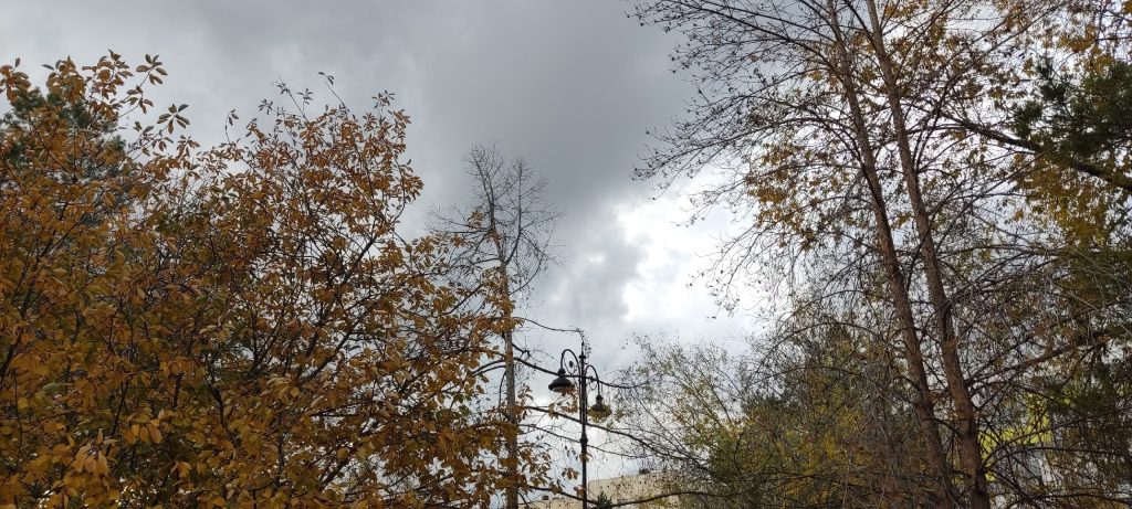 погода в Оренбурге