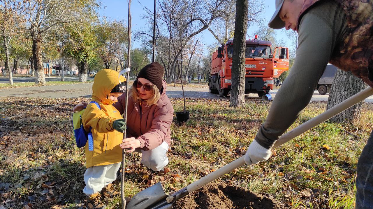 деревья в Оренбурге 2