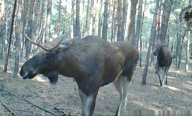 Оренбург Медиа — новости Оренбурга и области