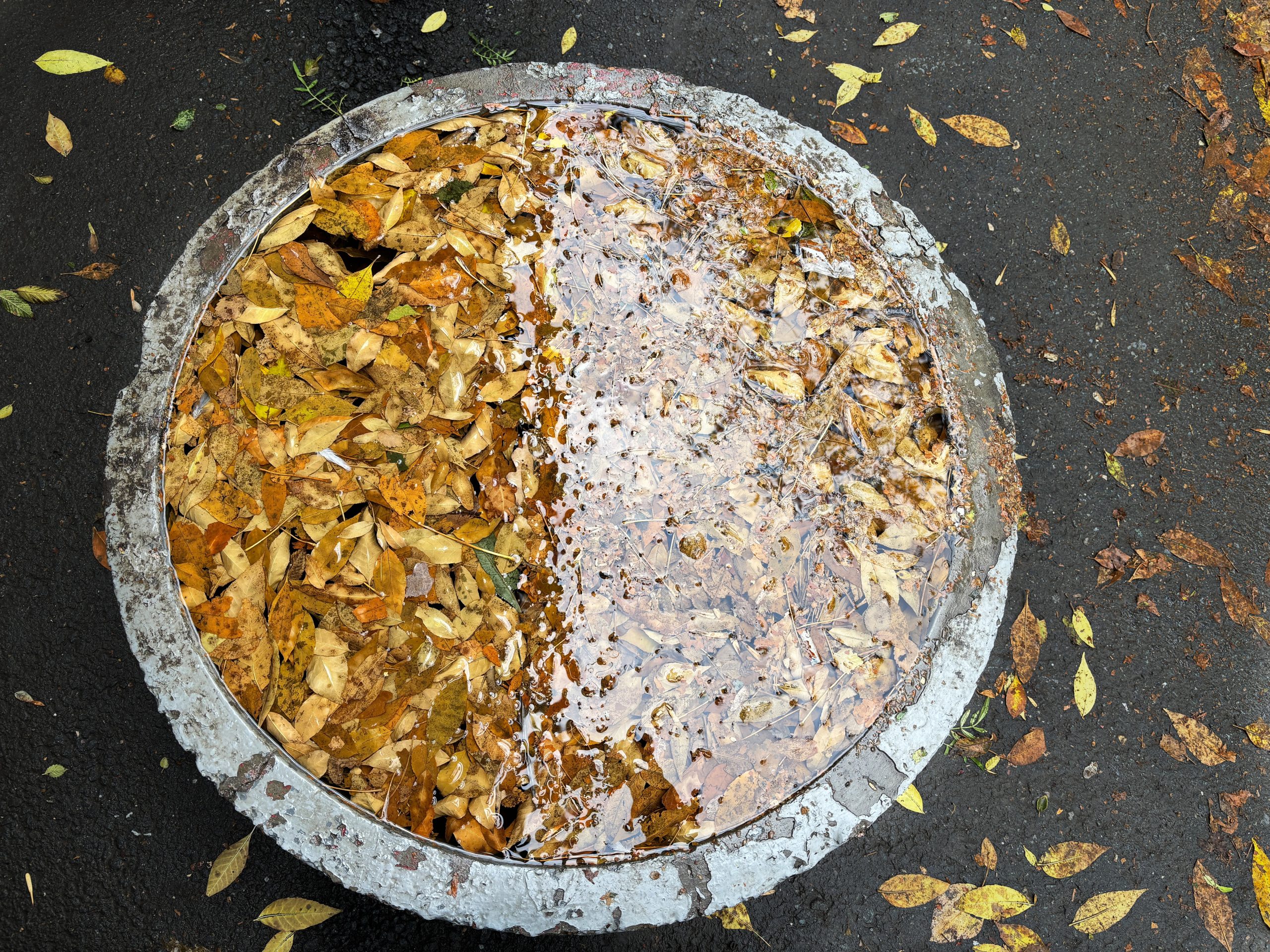 погода в Оренбурге