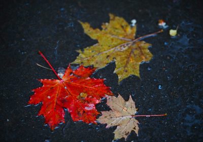 Оренбург Медиа — новости Оренбурга и области