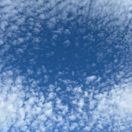 Оренбург Медиа — новости Оренбурга и области