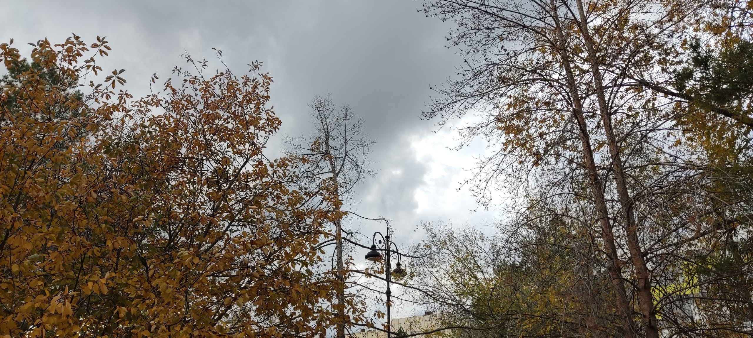 погода в Оренбурге