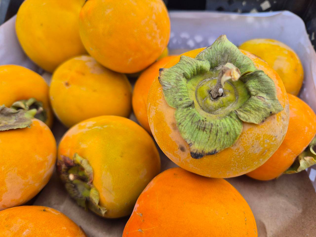 Червецом Комстока