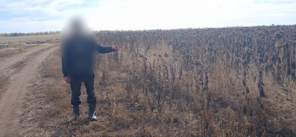 олень охота