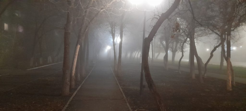 погода в Оренбурге 25 ноября