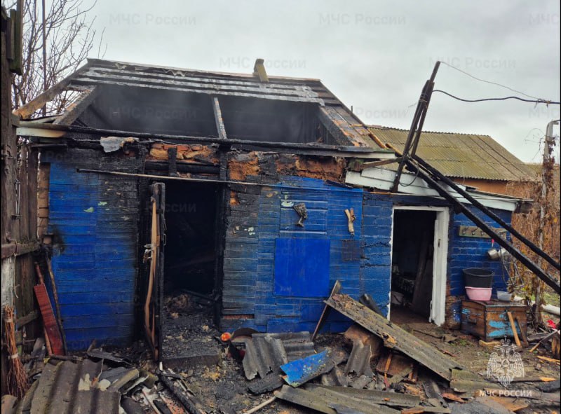 пожар погибшие статистика