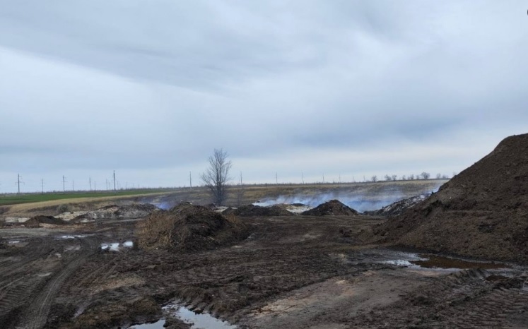 лузга тлеет