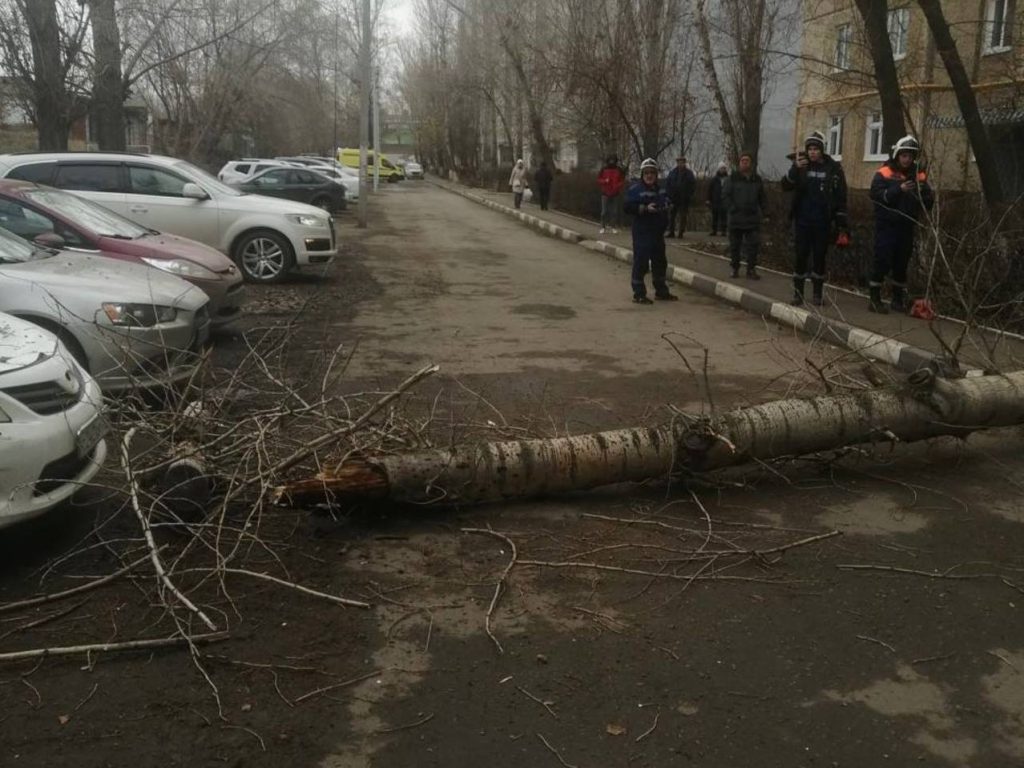 упало дерево СК