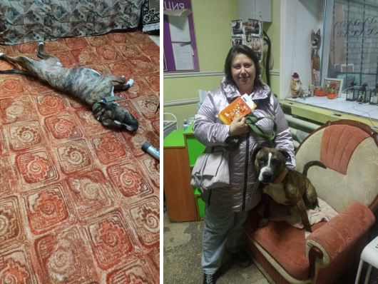 Арни Филимоша