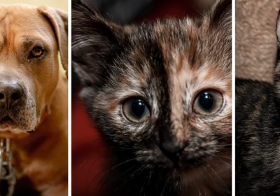 Оренбург Медиа — новости Оренбурга и области