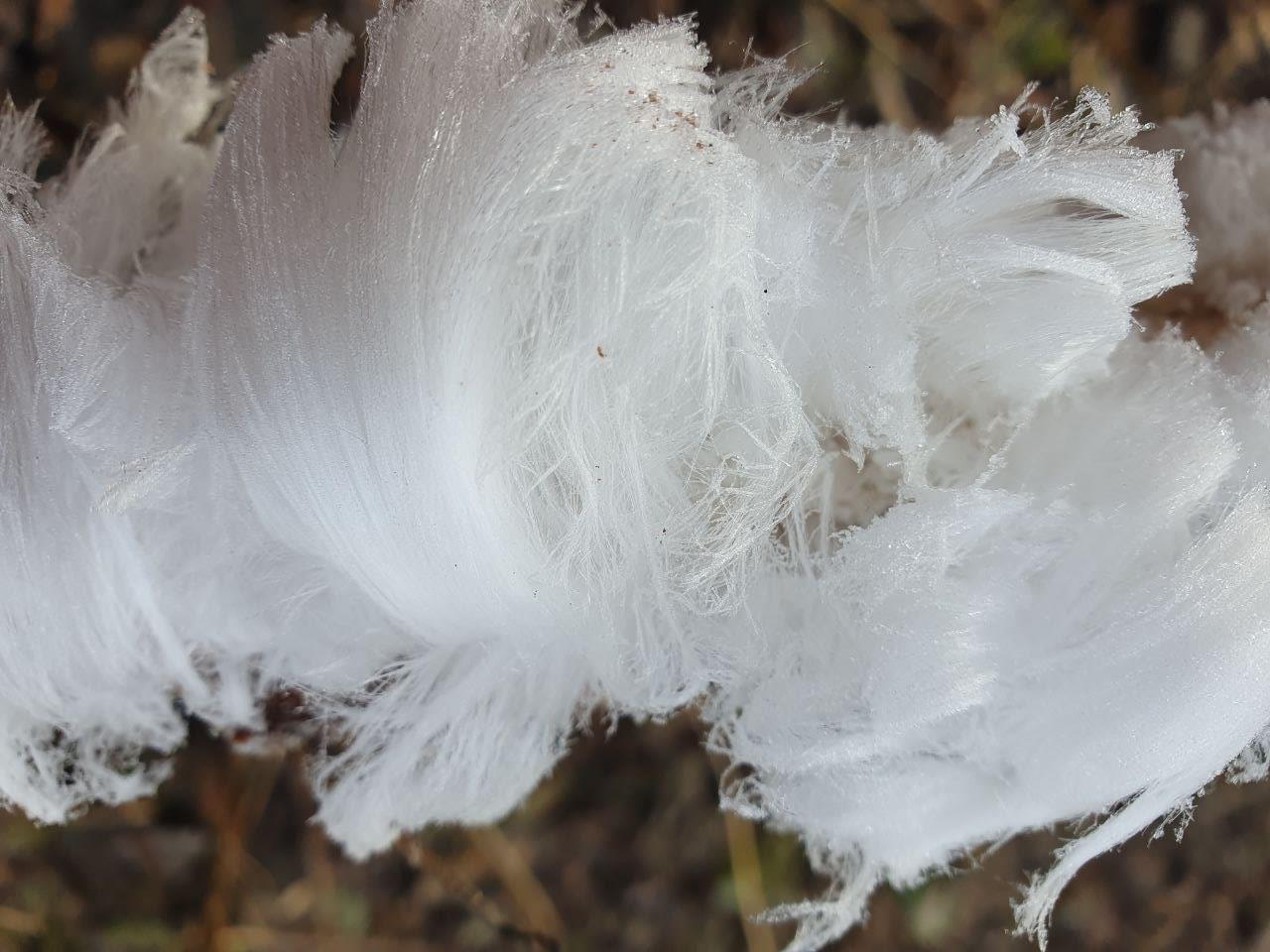 ледяные волосы