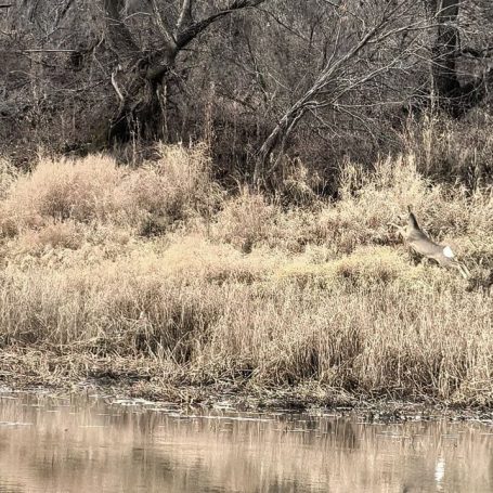Оренбург Медиа — новости Оренбурга и области