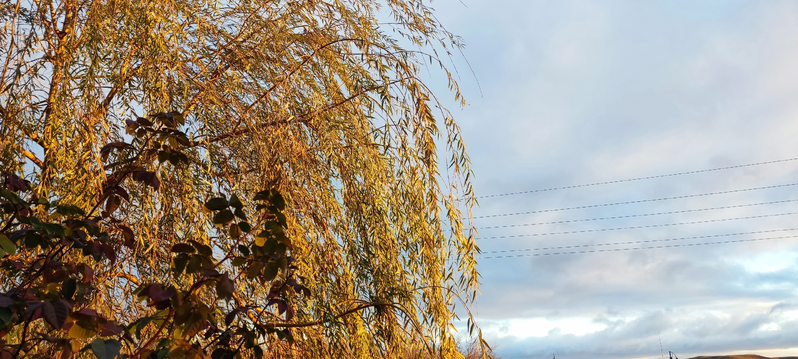 погода в Оренбуржье 15 и 16 ноября