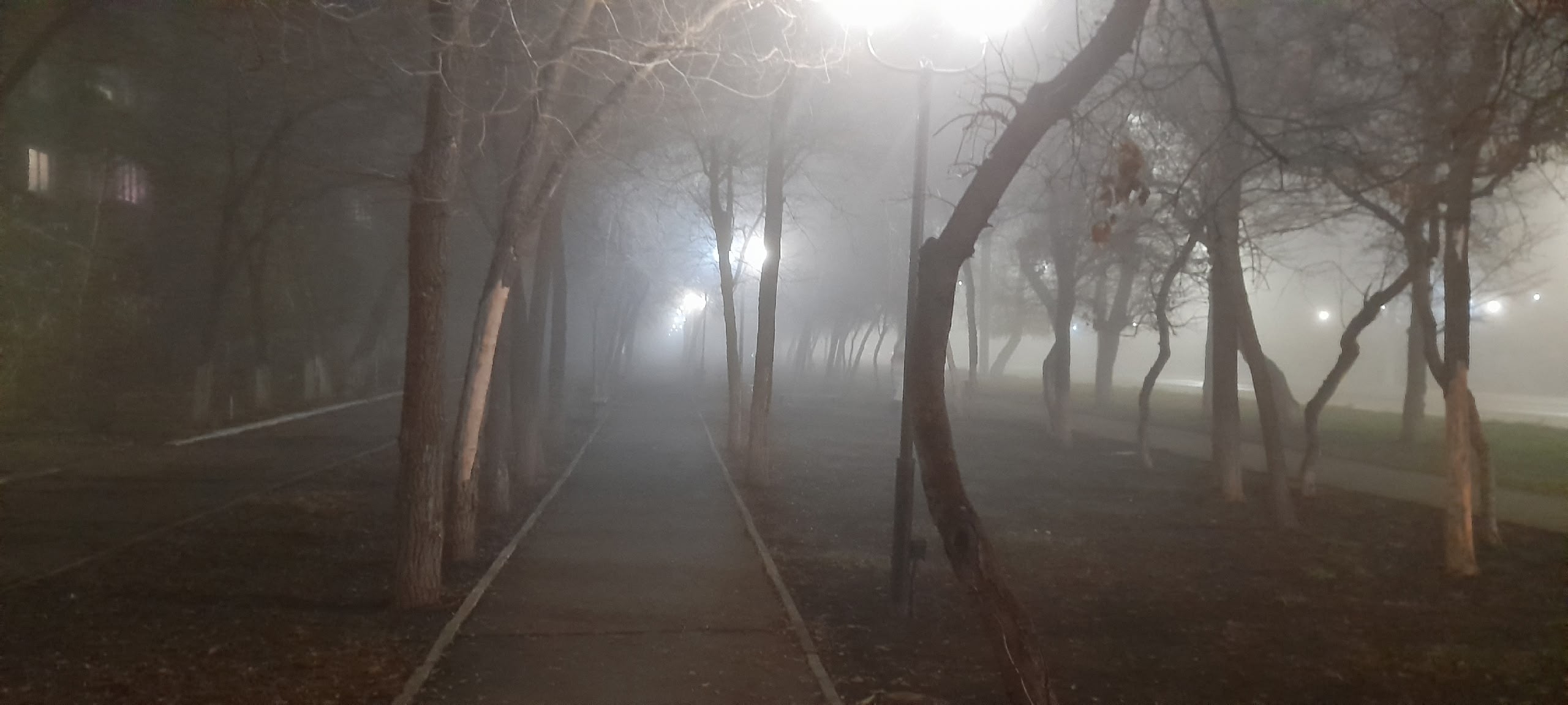 погода в Оренбурге 25 ноября