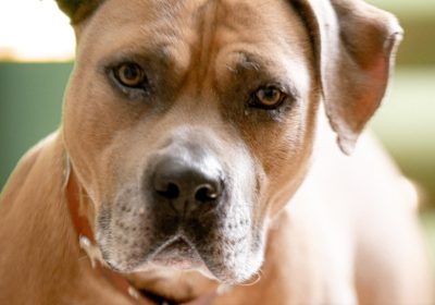 Оренбург Медиа — новости Оренбурга и области