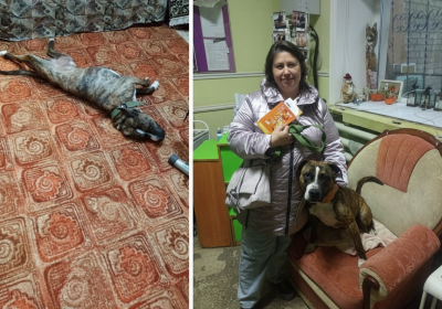 Оренбург Медиа — новости Оренбурга и области