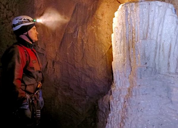 Логово Арагога