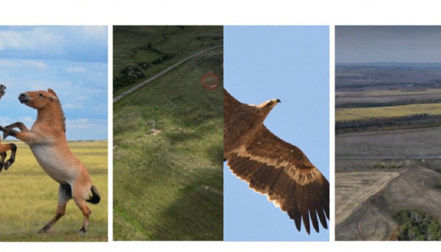 дизайн нового арт-объекта