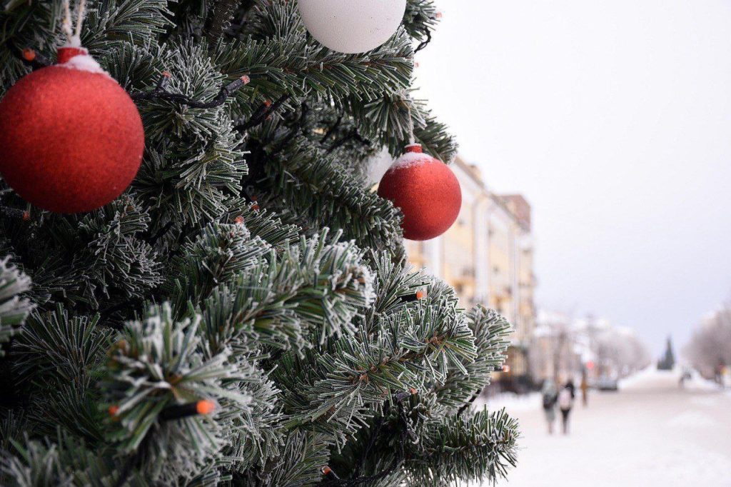 дороги к новогодним локациям