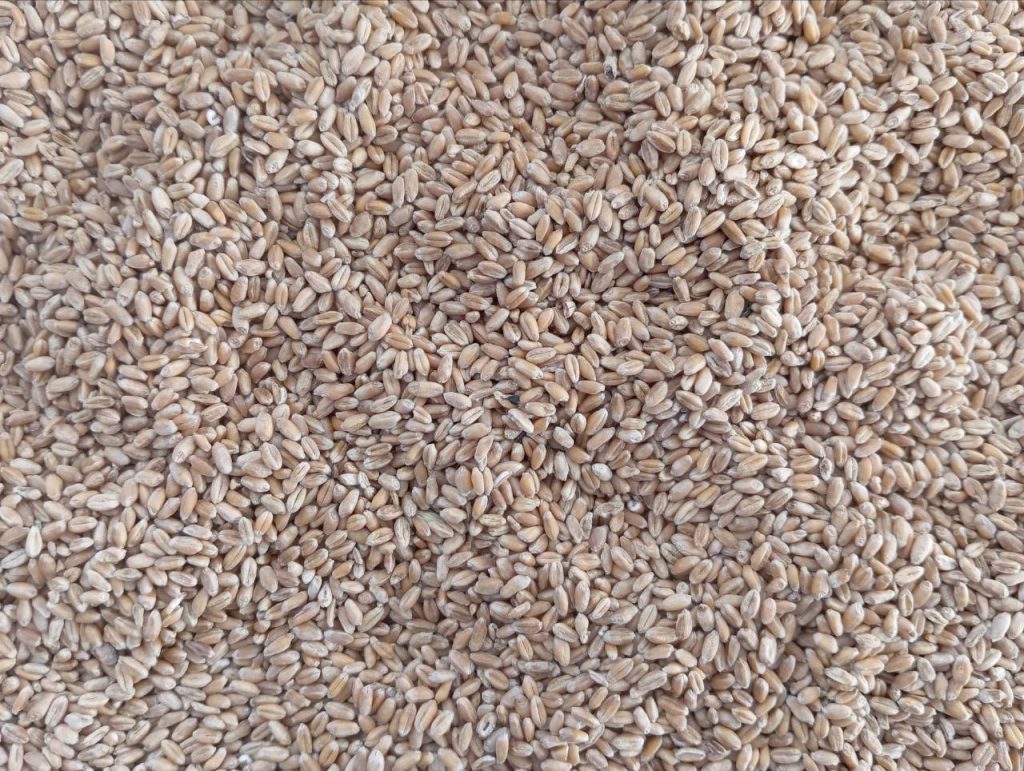 Россельхознадзор