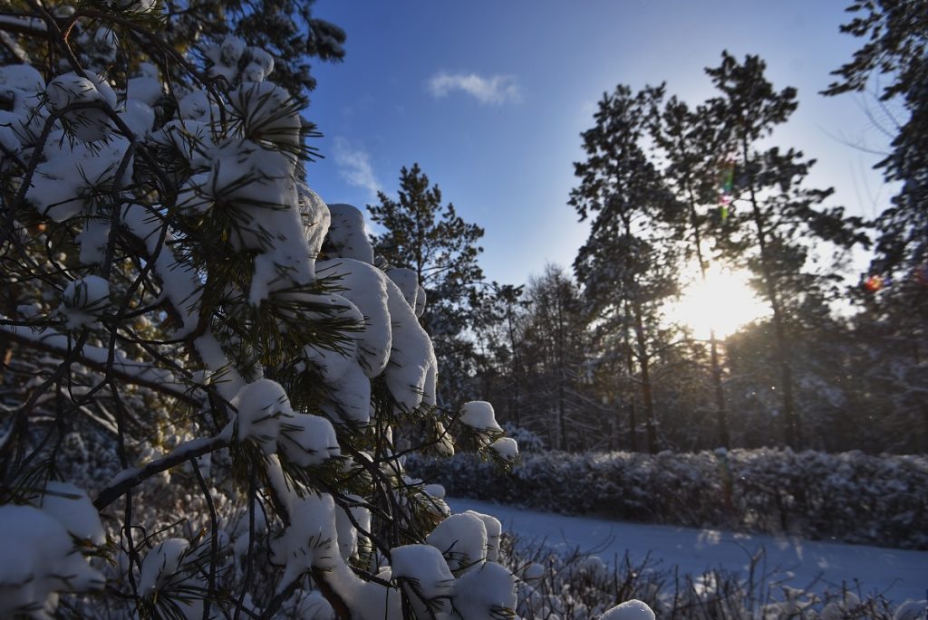 от морозов к снегопадам