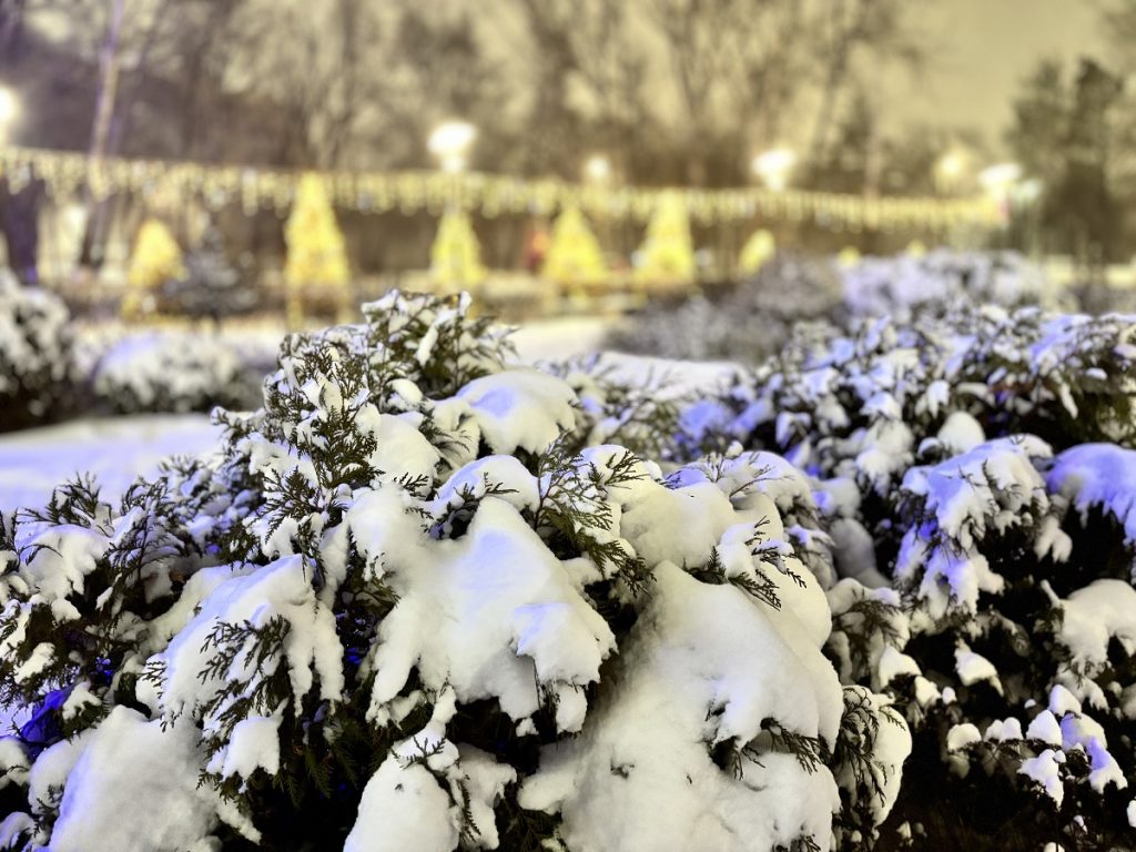 атлантический циклон