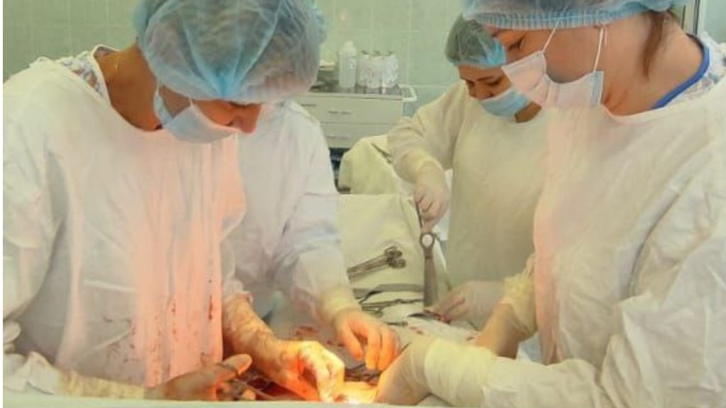 врачи новосибирск