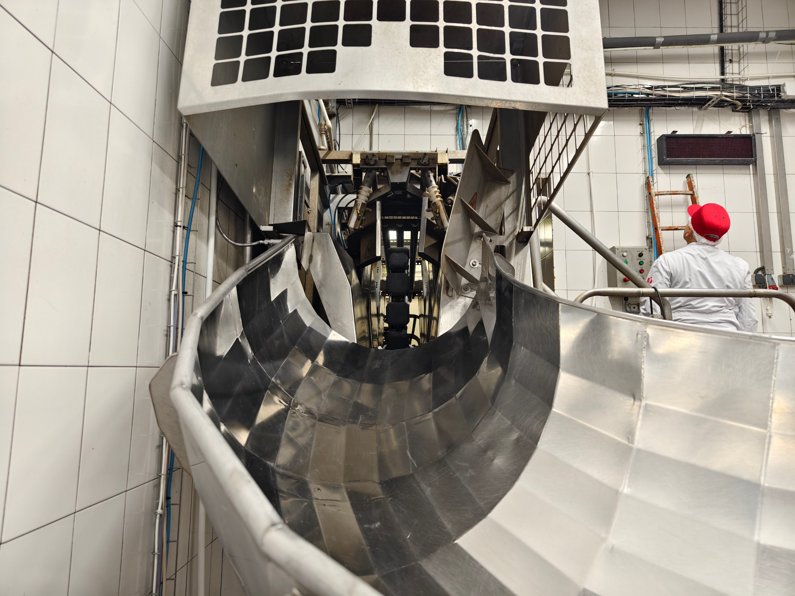 линия по убою свиней