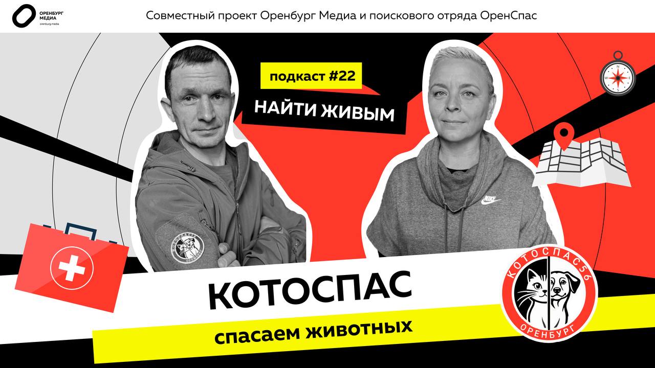 Котоспас