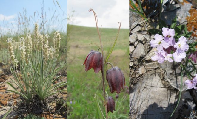 Оренбург Медиа — новости Оренбурга и области
