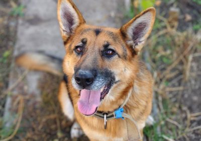 Оренбург Медиа — новости Оренбурга и области